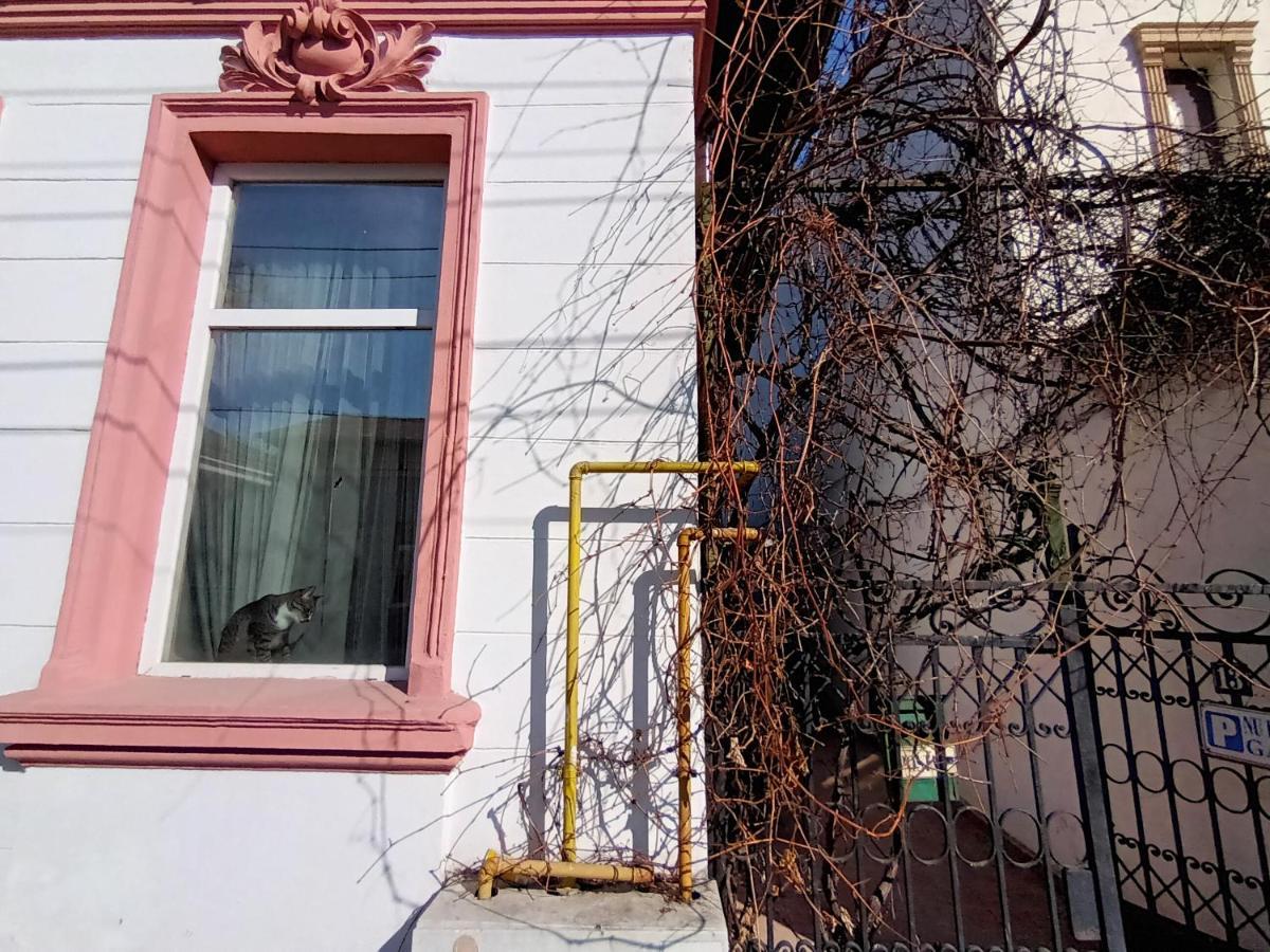 Casa Liveni Apartment Bucureşti Ngoại thất bức ảnh