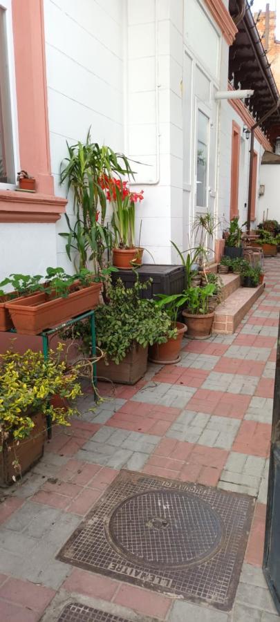 Casa Liveni Apartment Bucureşti Ngoại thất bức ảnh