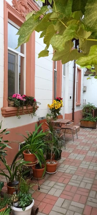 Casa Liveni Apartment Bucureşti Ngoại thất bức ảnh